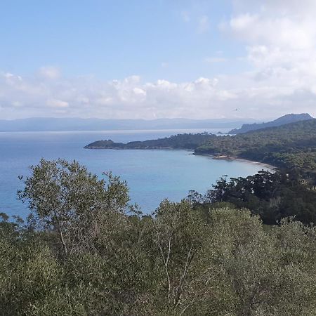 Porquerolles - Nuit Insolite A Bord Du Defi Fou Exterior foto